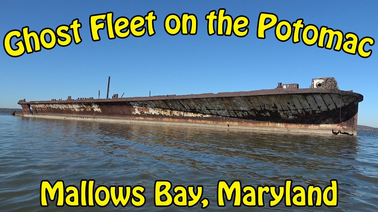 Ghost Ships of the Potomac - Mallows Bay, Maryland