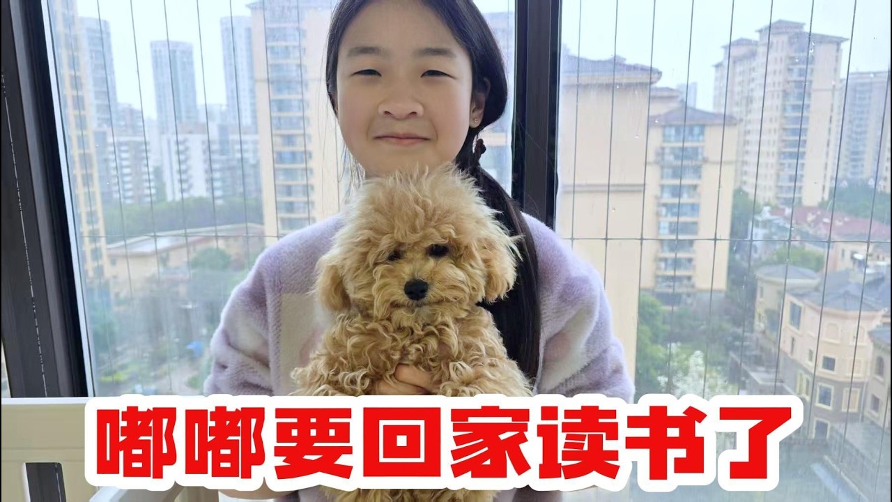 嘟嘟要回老家读书了