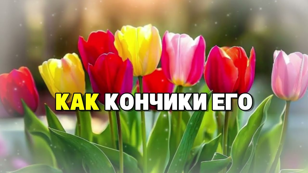 «Мой Сын Перешёл Черту — Исповедь о Предательстве, Которое Разрушило Семью»
