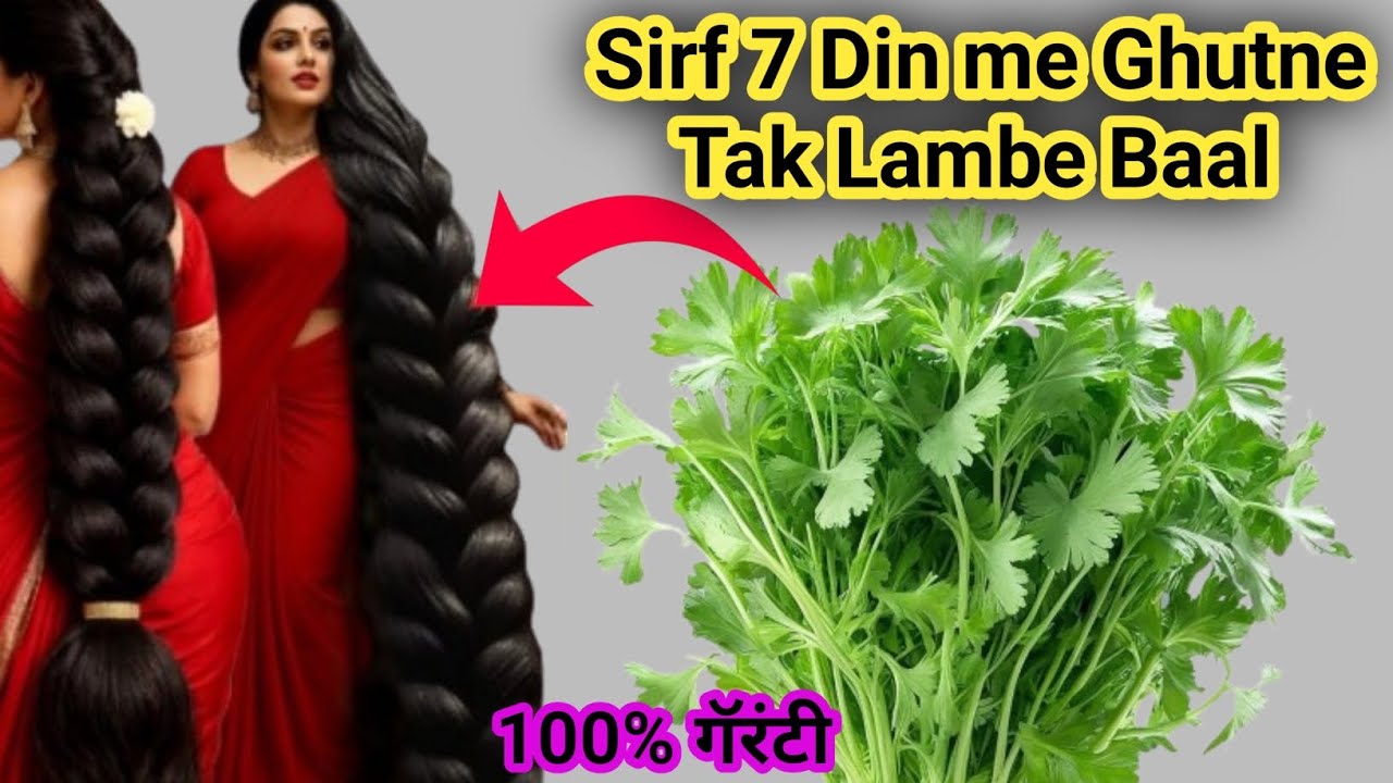 💯कोथिंबिरीचे पाणी लावा आणि ७ दिवसांत बघा केसांची वेगवान वाढ | Hair Growth Remedy Marathi #hair #new 