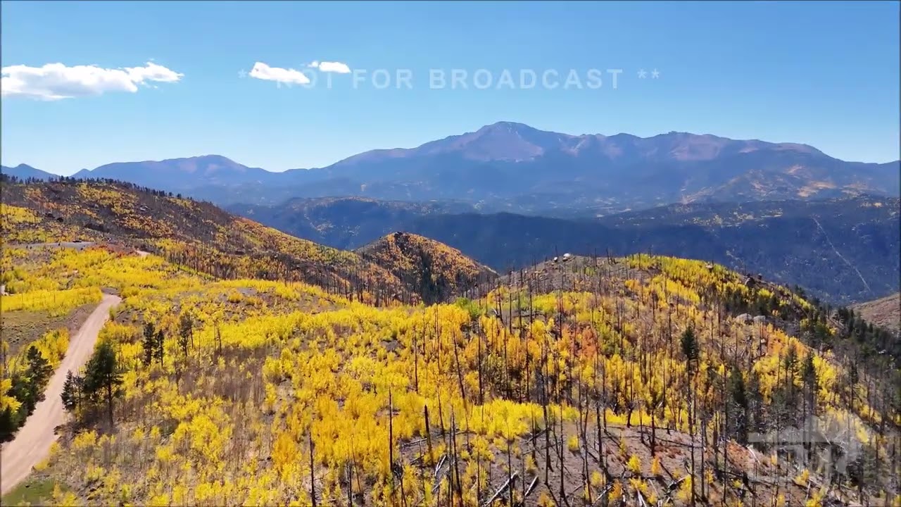 10-01-2024 Colorado Springs, Colorado - Pikes Peak Amazing Vivid Colorado Aspens Fall Colors