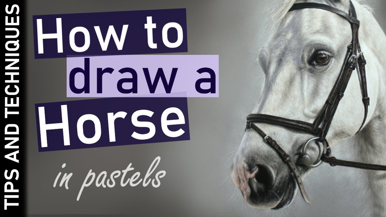 How to draw a Horse in pastels | Drawing fur/hair in pastels