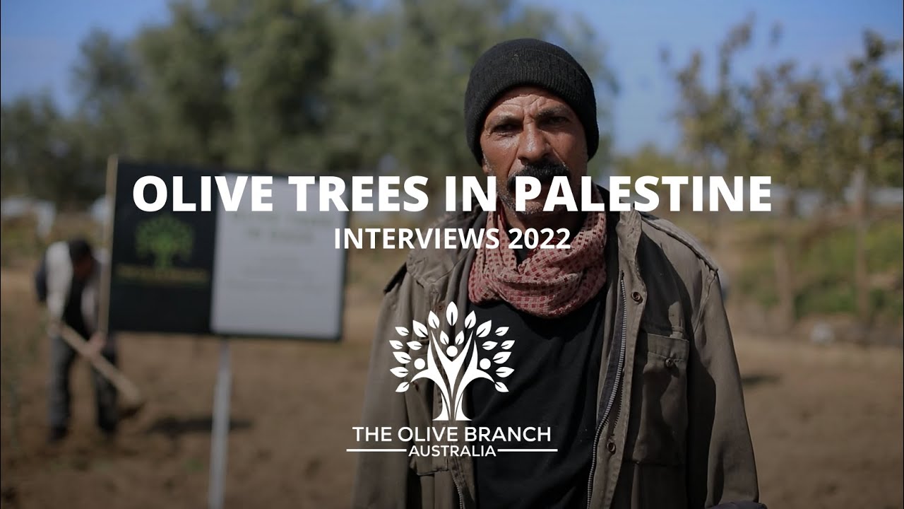 Donation of 50 Olive Trees in Palestine - Interview
