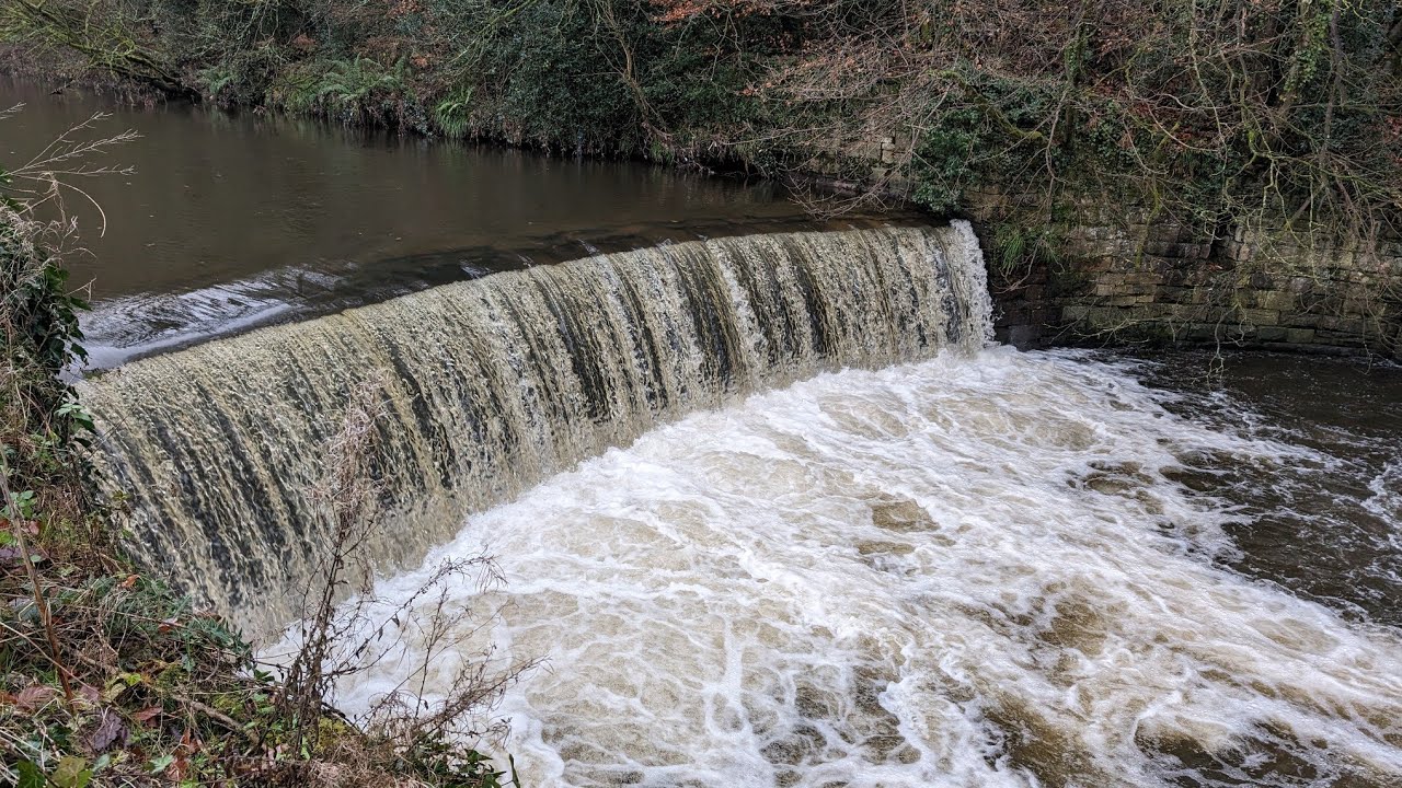 MARPLE