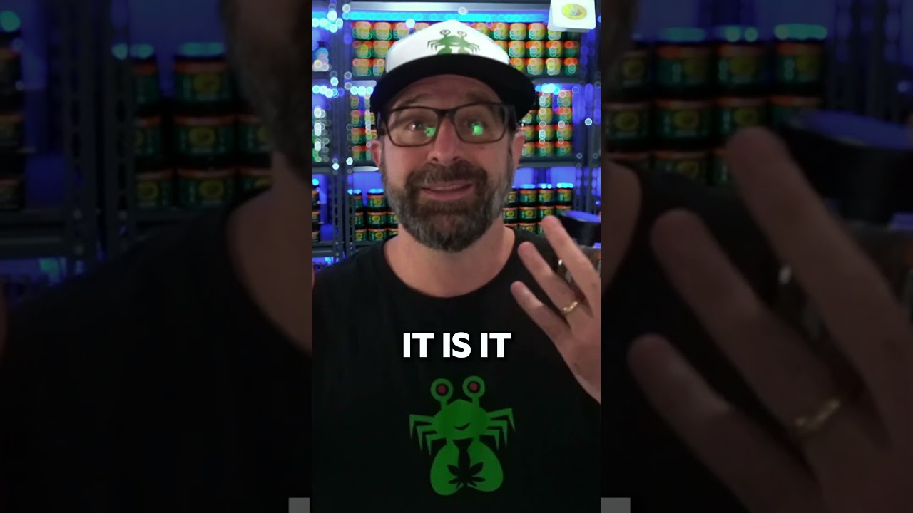 THCA Flower Final Verdict: THCA Benefits in Review Might be Lifesaving