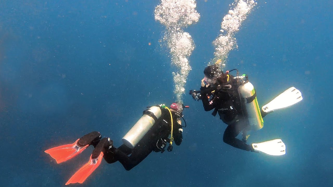 Cairns dive trip