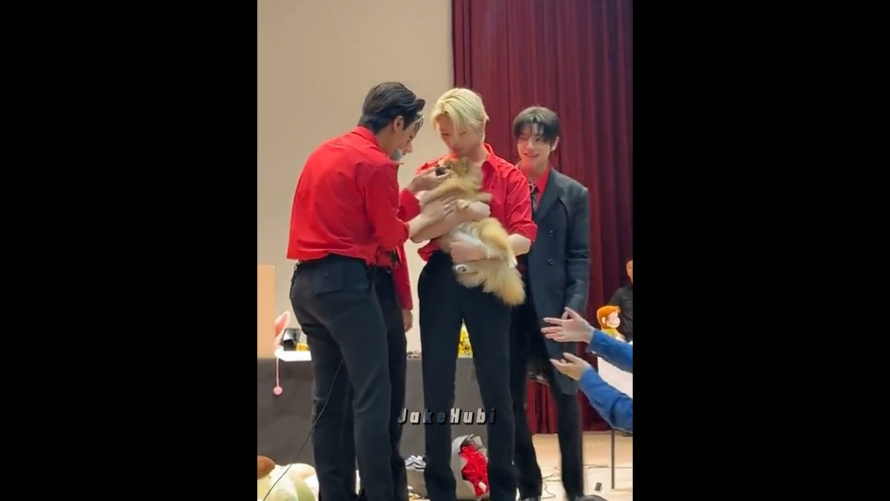 [enhypen] when a puppy suddenly pops up on stage during ENHYPEN's fansign event