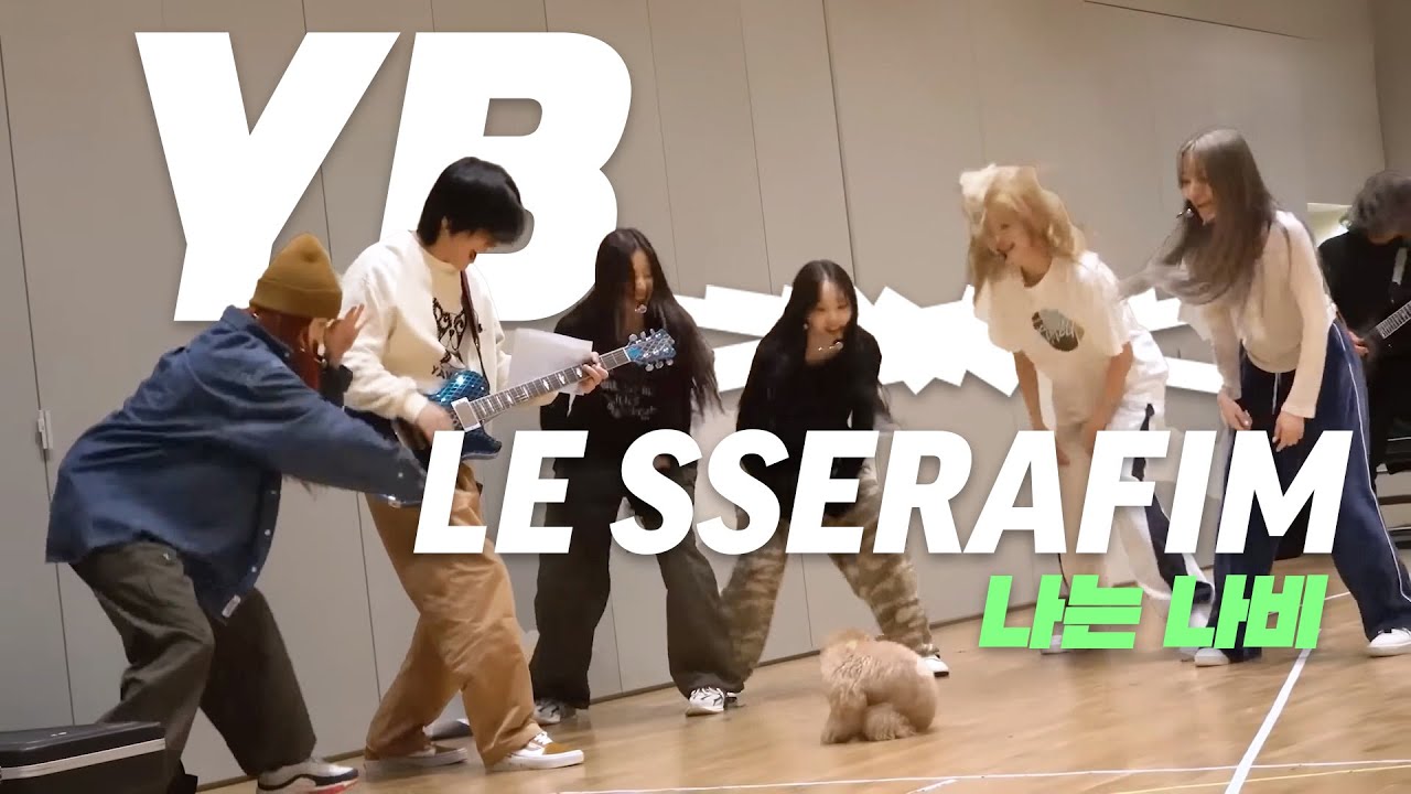 나는 나비 🦋 르세라핌 X YB