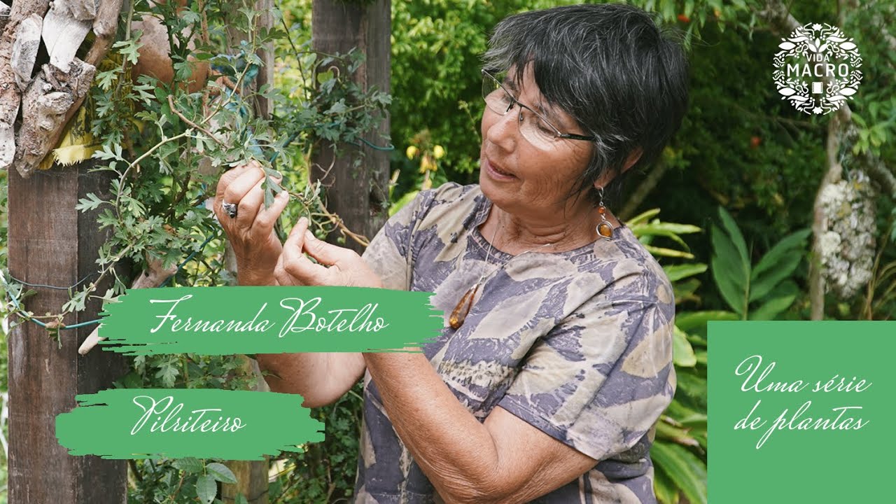 Fernanda Botelho // Pilriteiro