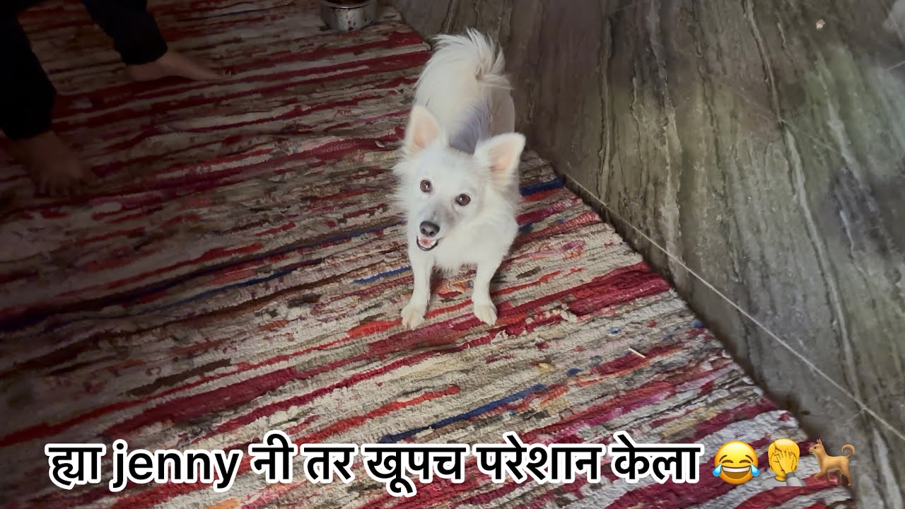 आज तर थोडक्यात वाचलो 😂😱😓🤦बेकार हाल झाले 😓👍