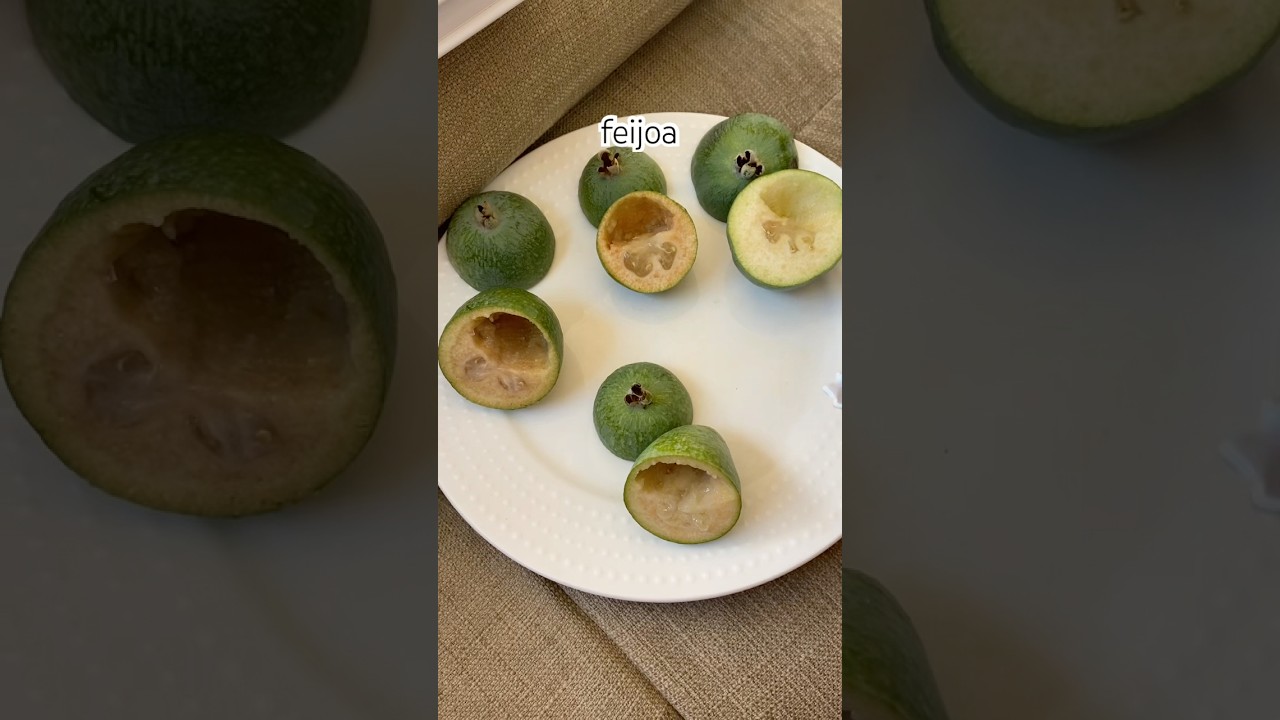 Four Feijoa Selections on October 7, 2025. Chesterwoody, Kaiteri, Lickver&rsquo;s Pride, and Unique