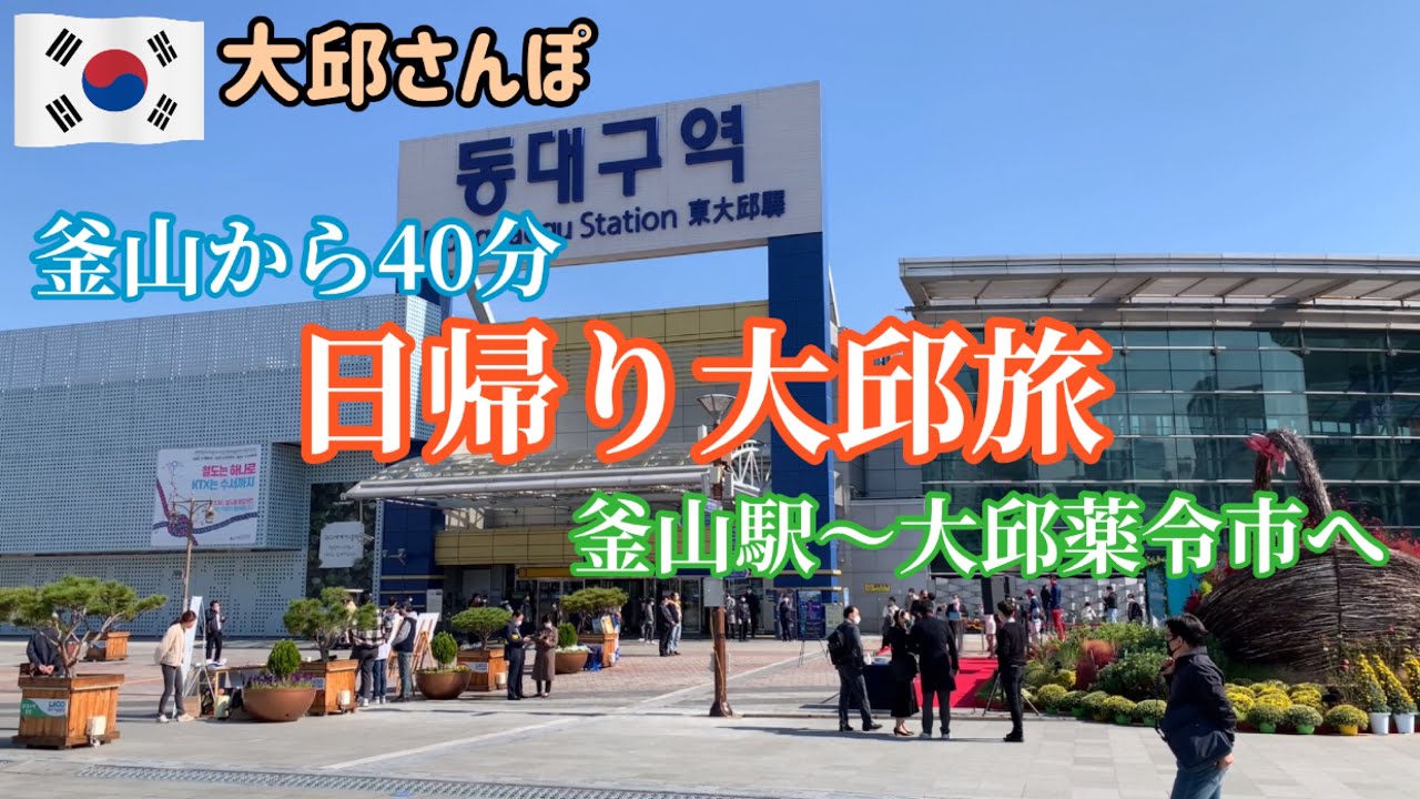 釜山駅からKTXで大邱へ！韓国最古の薬令市は韓方パラダイス【大邱さんぽ】 vol.1