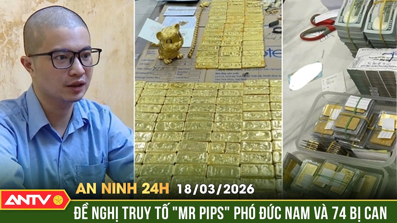 An ninh 24h ngày 18/3: Truy tố ông 'trùm Mr Pips' và 74 bị can trong đường dây lừa đảo | ANTV
