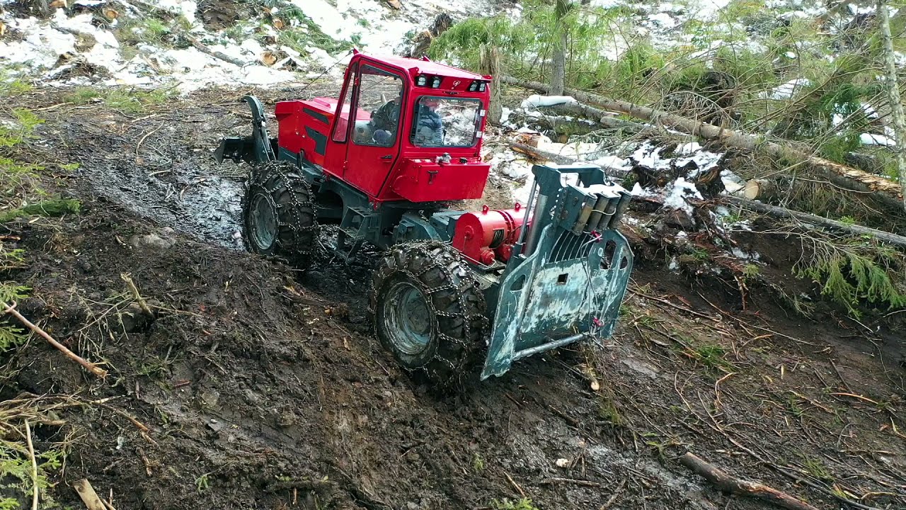 Teste în pădure TAF Stage V