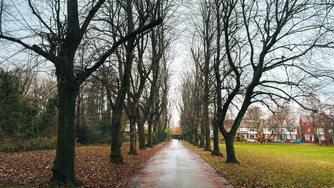 Light Rain Walk in Manchester’s Birchfields Park | Peaceful Nature Therapy