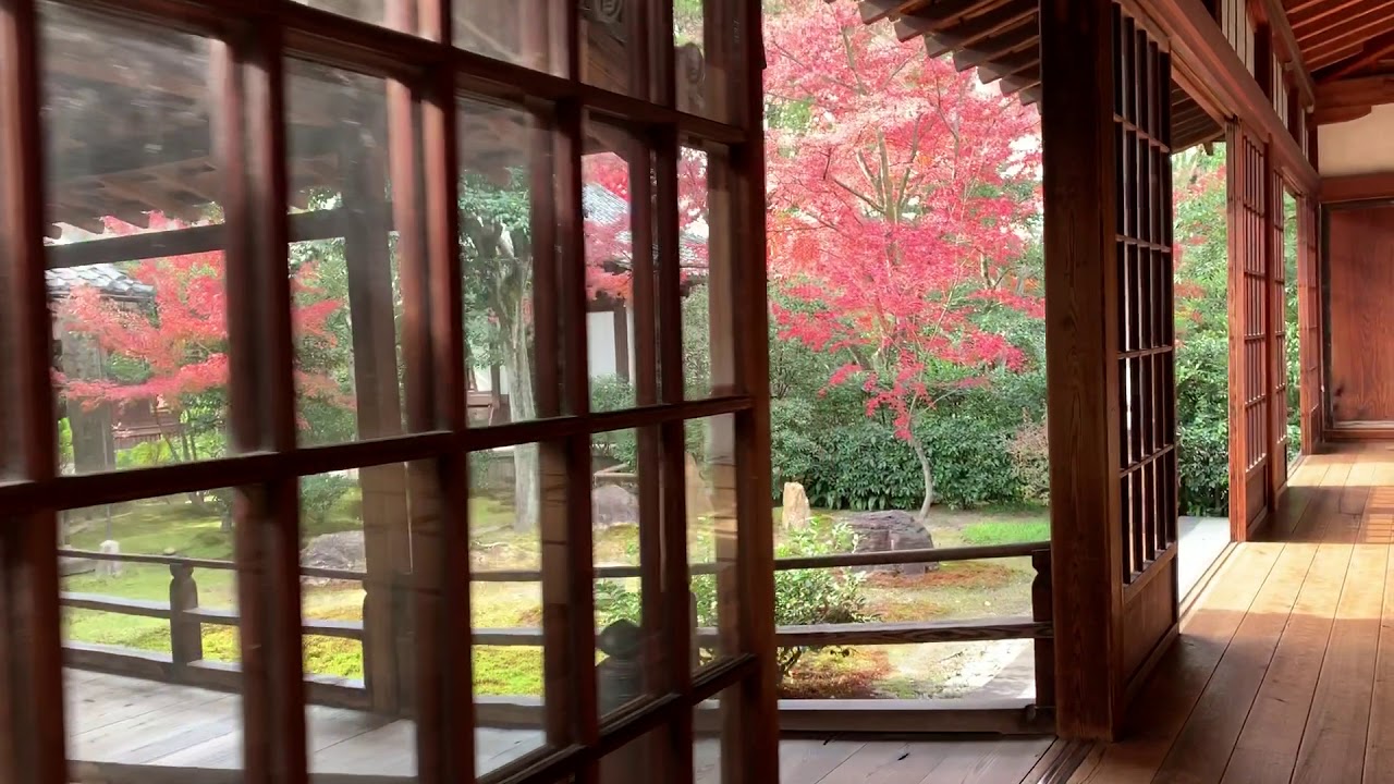 建仁寺 大書院から見る庭園（潮音庭）の紅葉  2018年12月1日 秋【京都の紅葉】