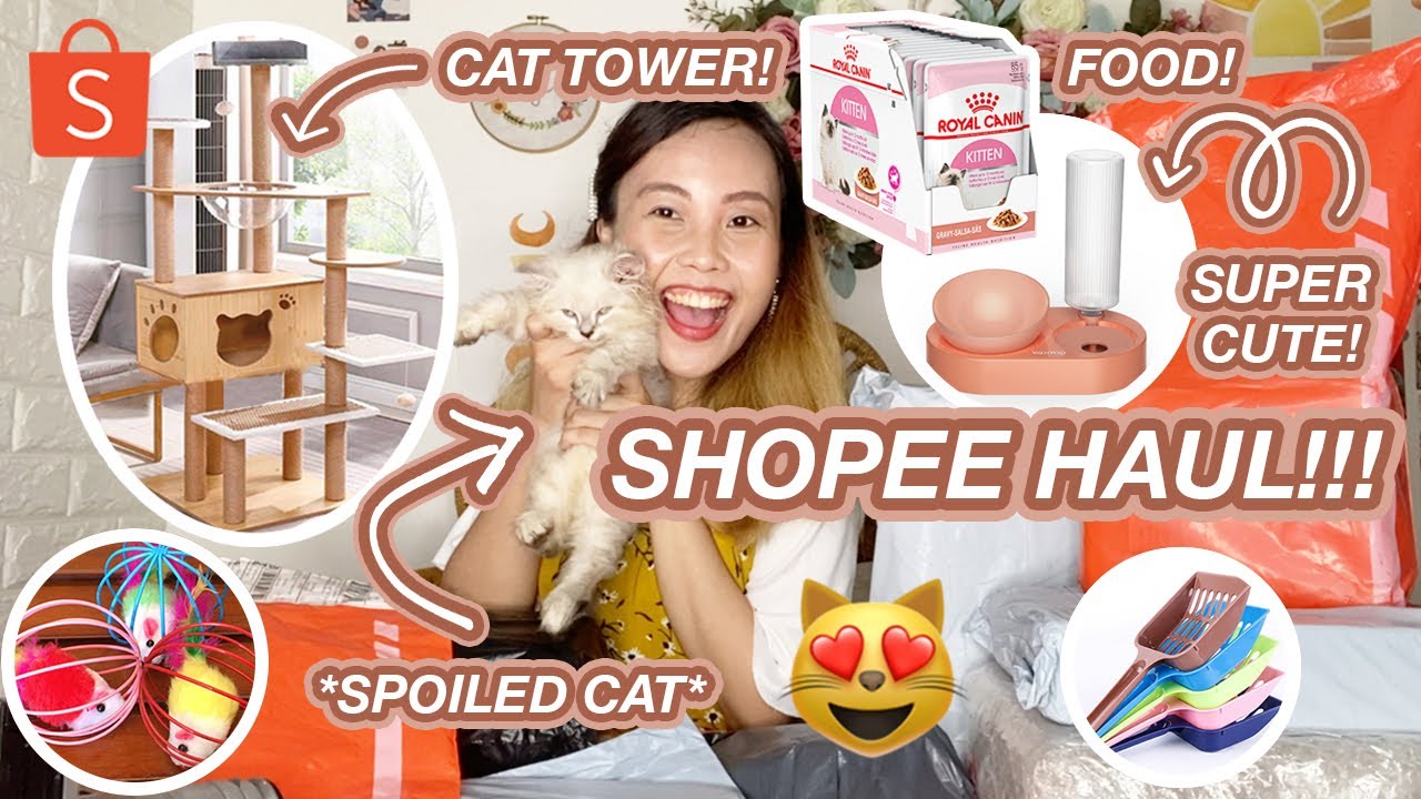 SPOILING MY CAT WITH A SHOPEE HAUL! + Affordable Cat Tower! Pet Essentials! Aesthetic Finds!
