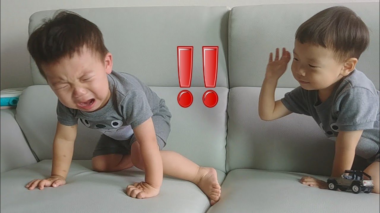 이럴수가!! 동생한테 이렇게까지...한다고?! 한평가족 거누와 다누 #한평가족 #baby  #육아브이로그