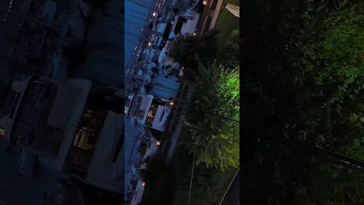 daylife #viral #viralshorts #viralvideo #shortvideo #video  #feedshorts #transition