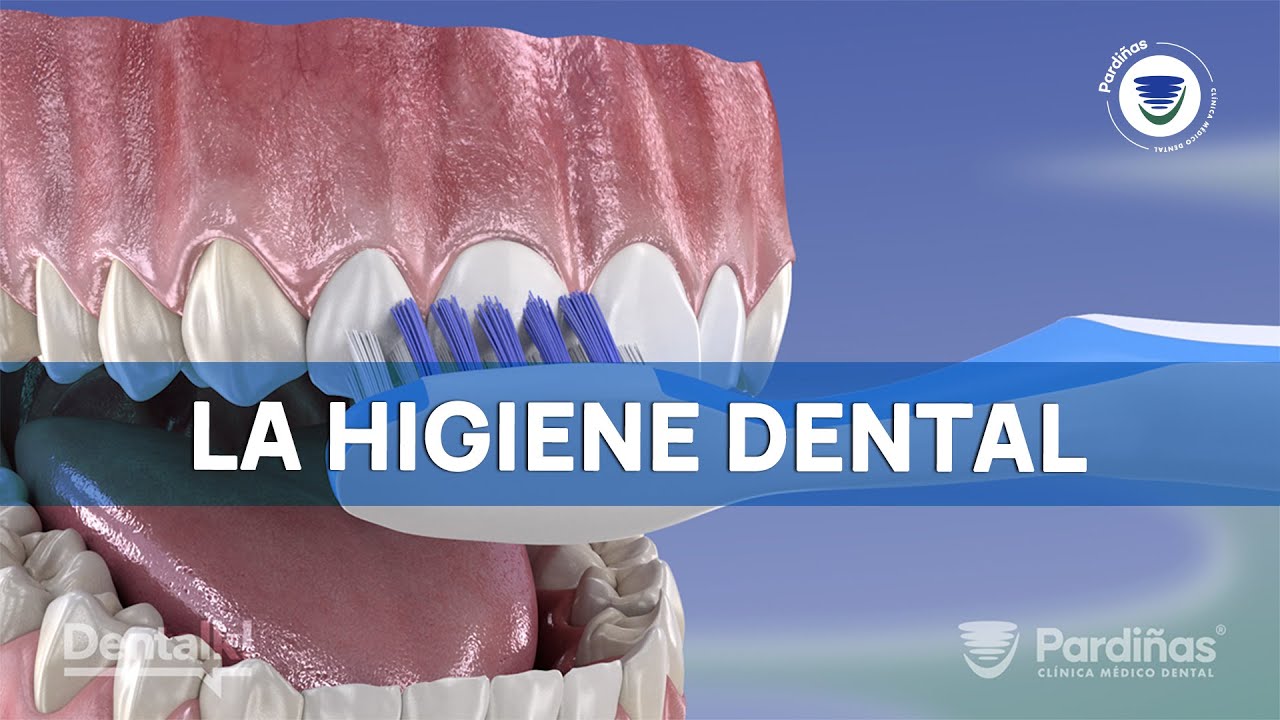 Как правильно чистить зубы: Ослепительная улыбка всего за 2 минуты!