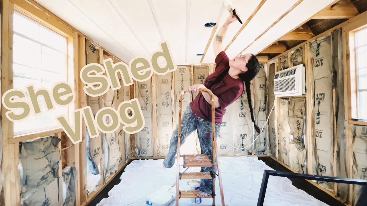Shed Vlog