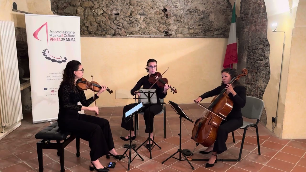 L. van Beethoven: Trio Op.9 no.3 (Scherzo) - Trio Plavens