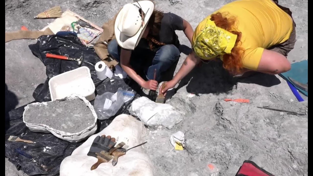 Dinosaur discoveries keep Montana students digging