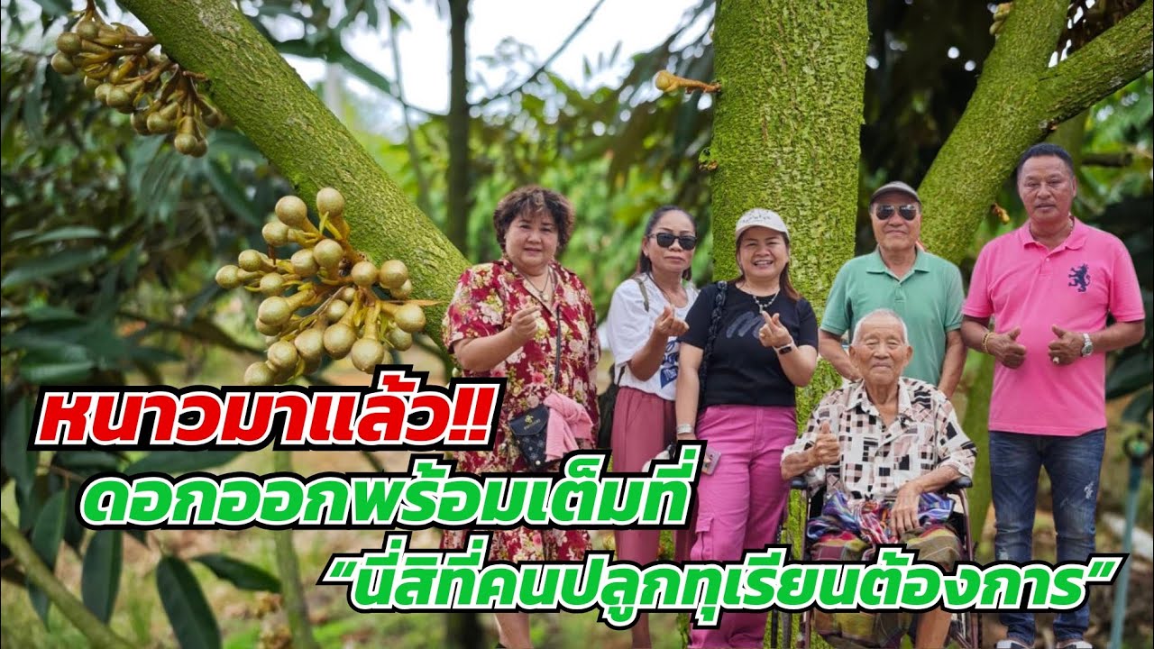 EP503:หนาวมาดอกขยับ เตรียมรับการบำรุง | ร้านป๋าแสวงการเกษตร☘️☘️☘️