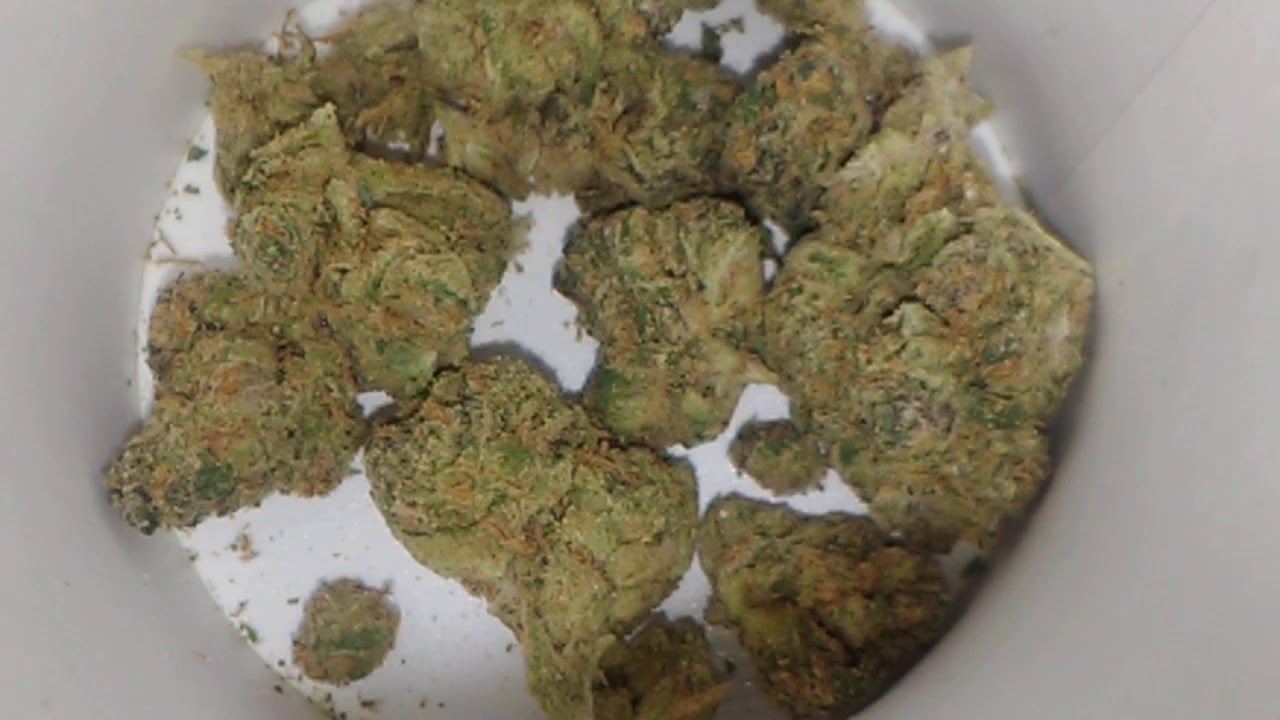 SLURRICANE 🌀🏄💥💥