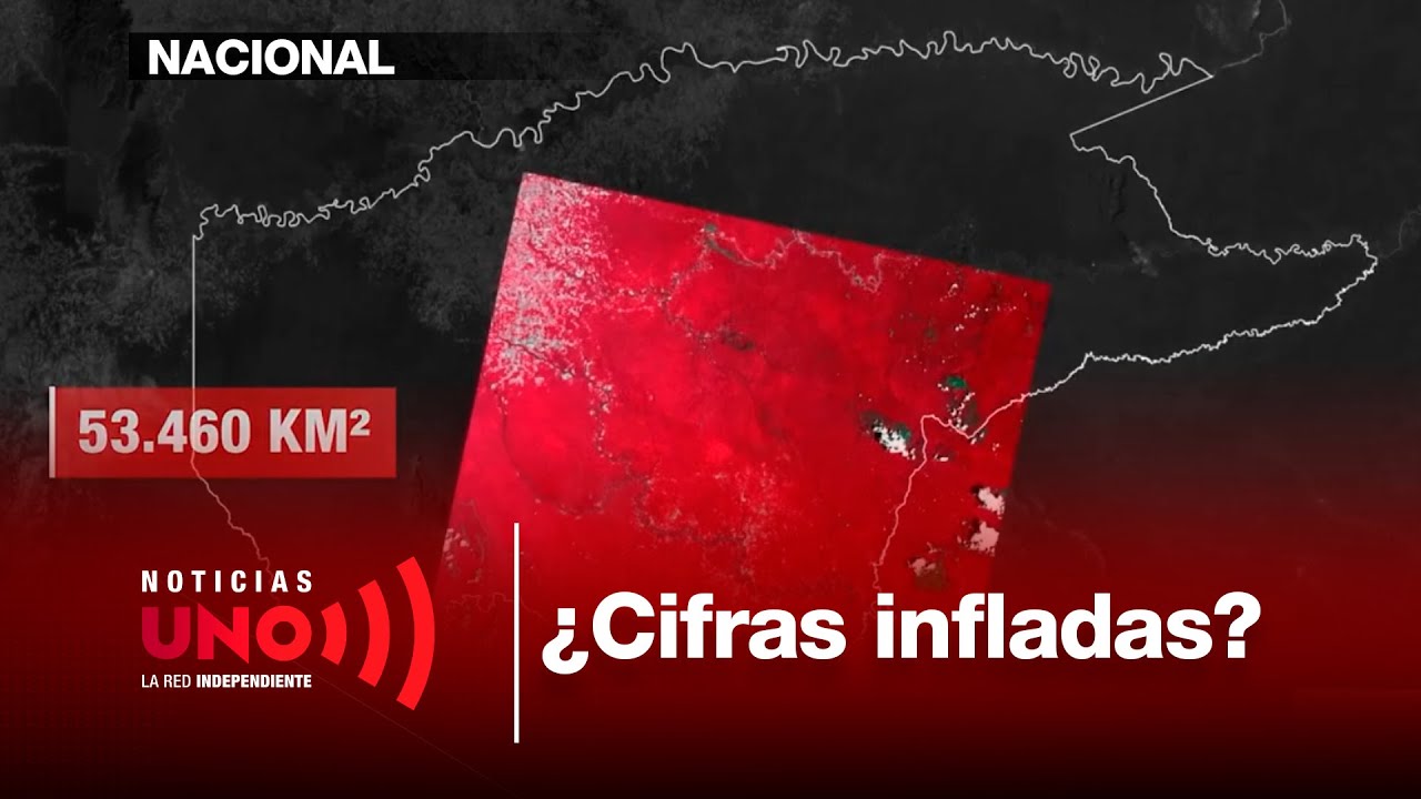 IA revisó mapas de coca y halló diferencias con cifras oficiales de la ONU | Noticias UNO