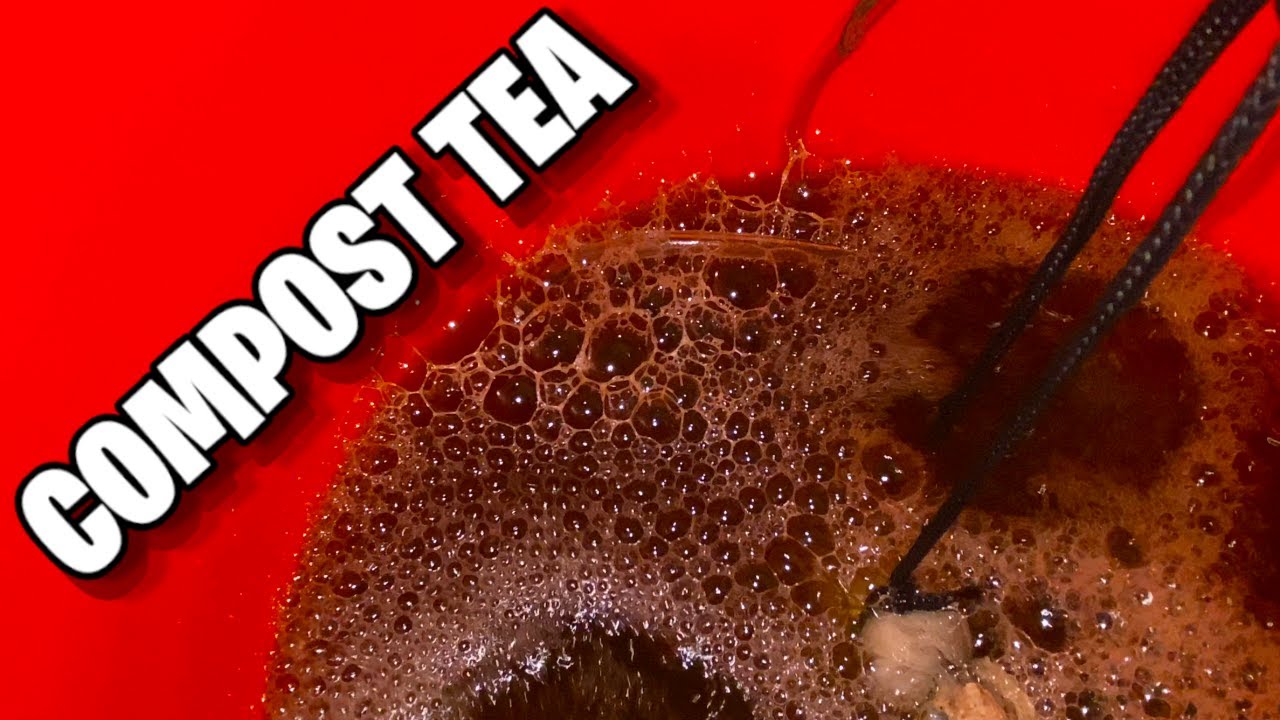 How To Brew Compost Tea (EASY)