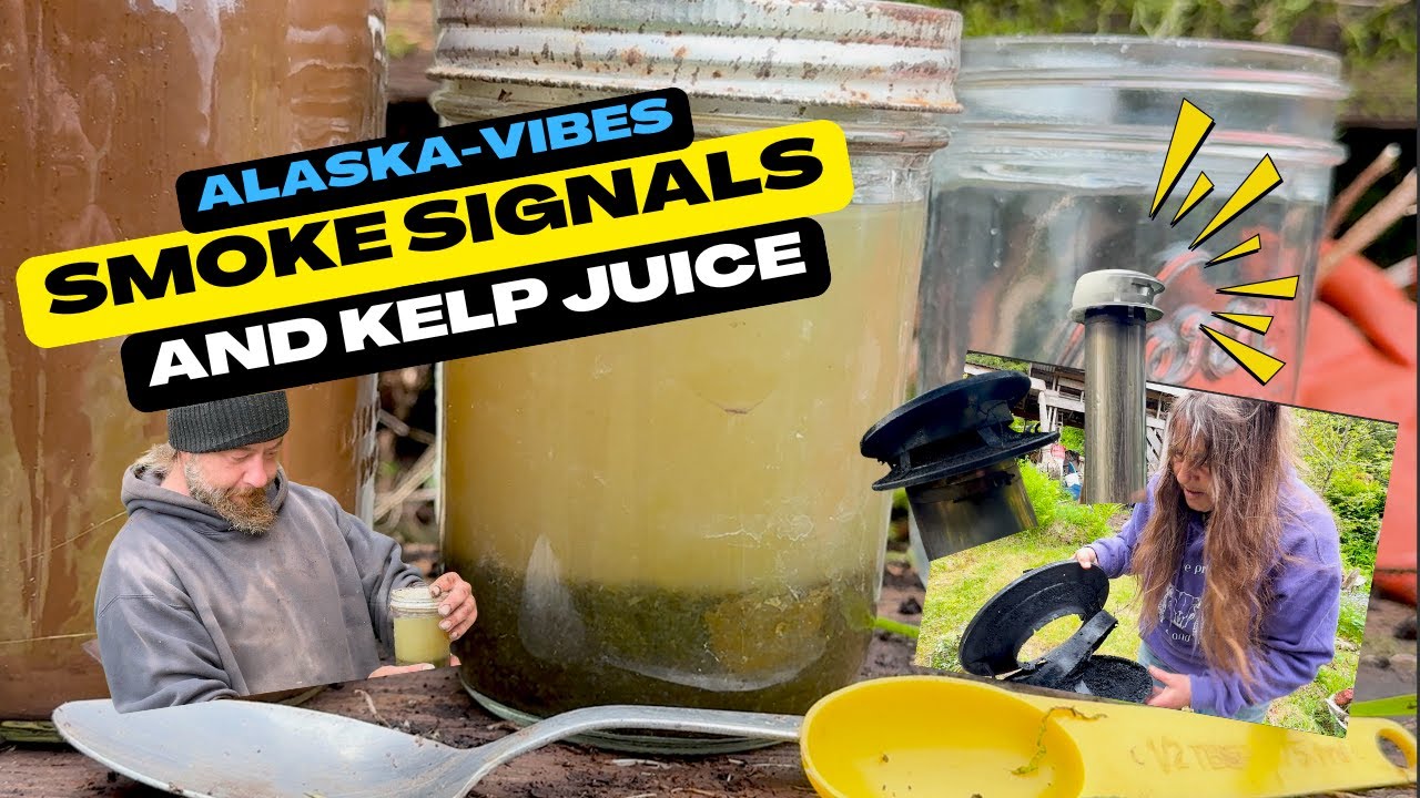 Port Protection: Smoke Signals & Kelp Juice