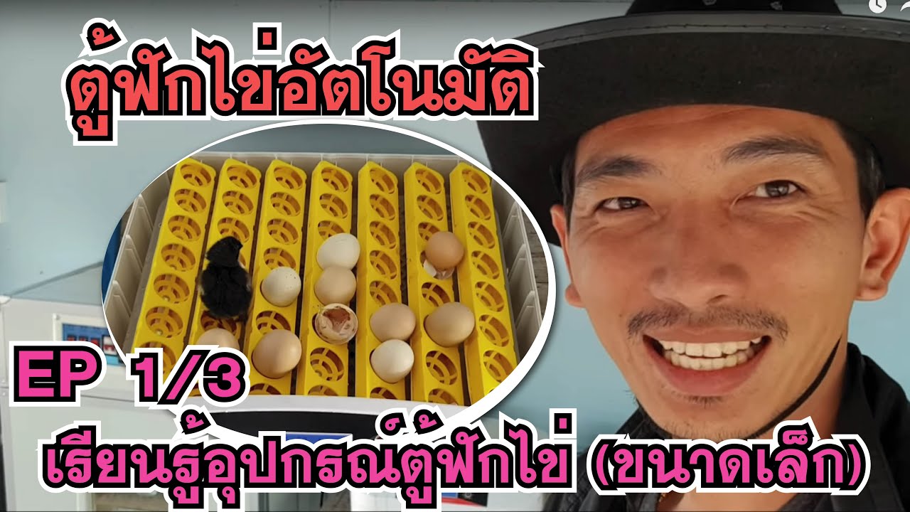 ในตู้ฟักไข่มีอะไรบ้าง มาเรียนรู้อุปกรณ์ภายในตู้ฟักไข่ ขนาดเล็ก สามารถฟักไข่ไก่ ไข่เป็ด และไข่นกได้