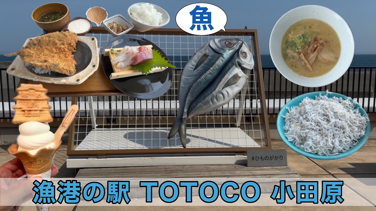 【小田原漁港の台所】漁港の駅TOTOCO小田原に行ってきた！！魚魚魚！魚を食べよう！！魚は僕らを待っている♪名物グルメにお土産見どころ満載！！