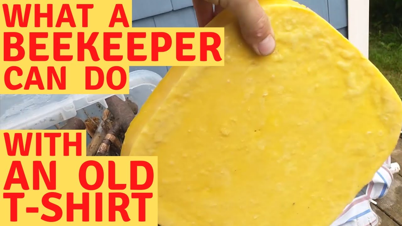 How to filter beeswax with a t-shirt! (New beekeepers, don't waste your scraps of old brood comb!)