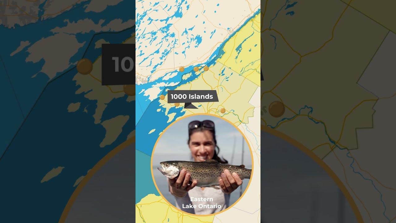 Outdoors in NY: Lake Ontario Boating, Selkirk Shores Camping and Riverfront Trails #lakeontario