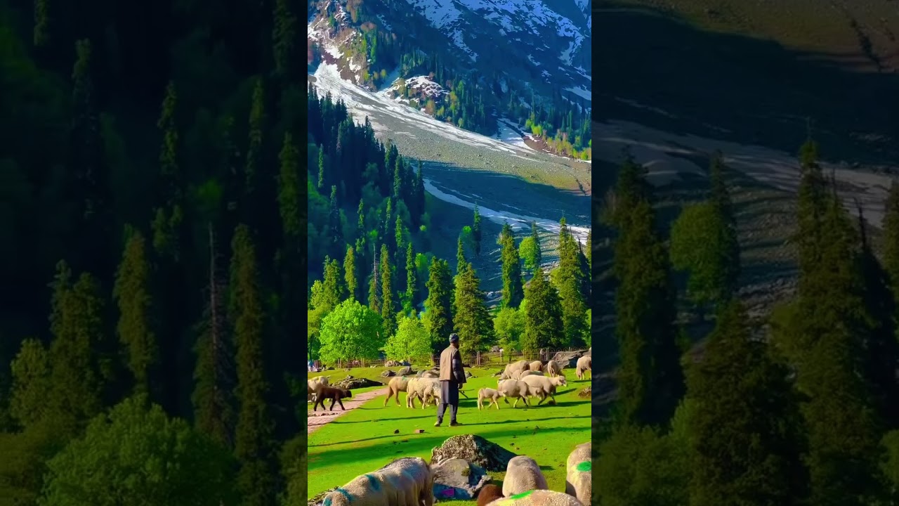 Nature beauty in kashmir 
