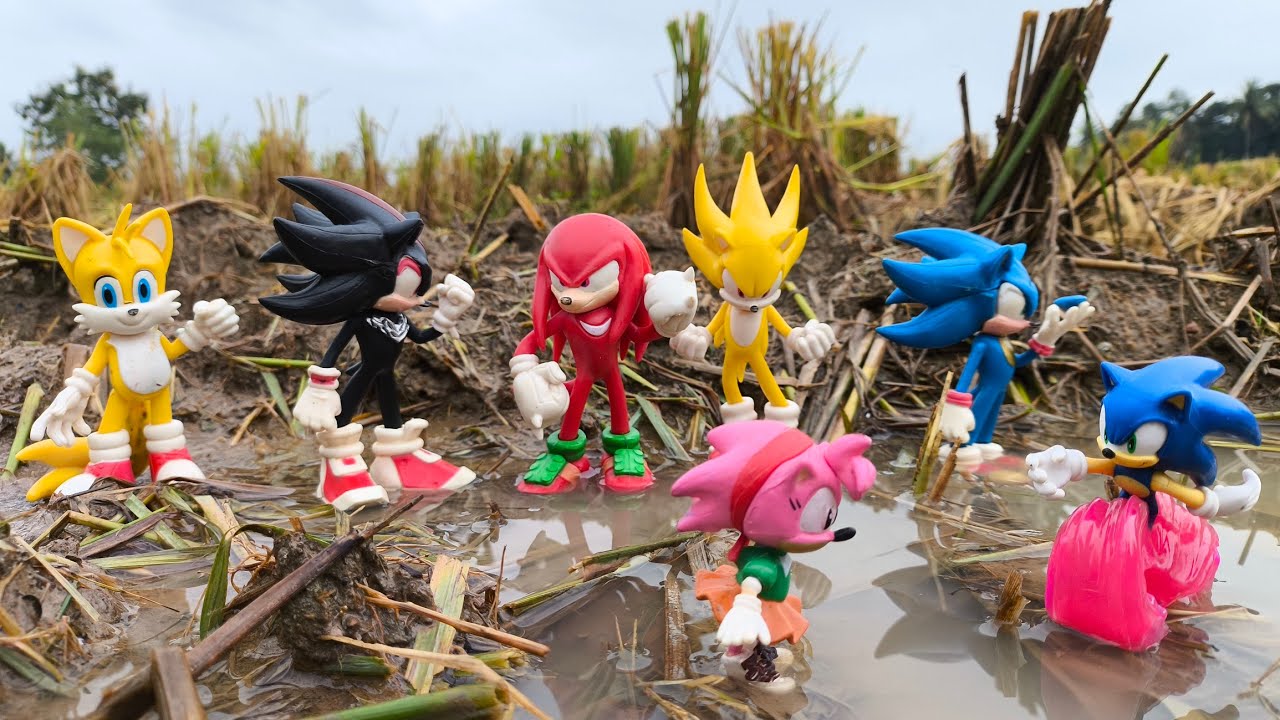 Sonic Hunter | Sonic Hedgehog | Knuckles | Tails | Super Sonic | Sonic Shadow | Metal Sonic | Amy