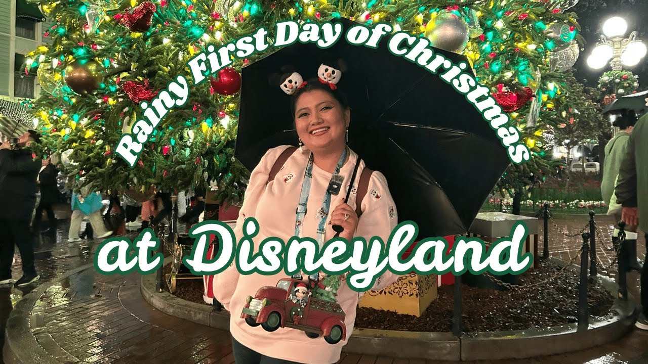 Rainy Disneyland Holiday Vlog 🎄 Cozy Snacks, Seasonal Drinks & New Popcorn Bucket!