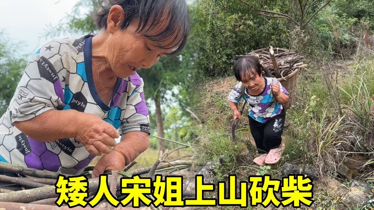矮人宋姐上山砍柴，慢慢一捆柴，这下可够吃一阵子了！#农村生活#袖珍人