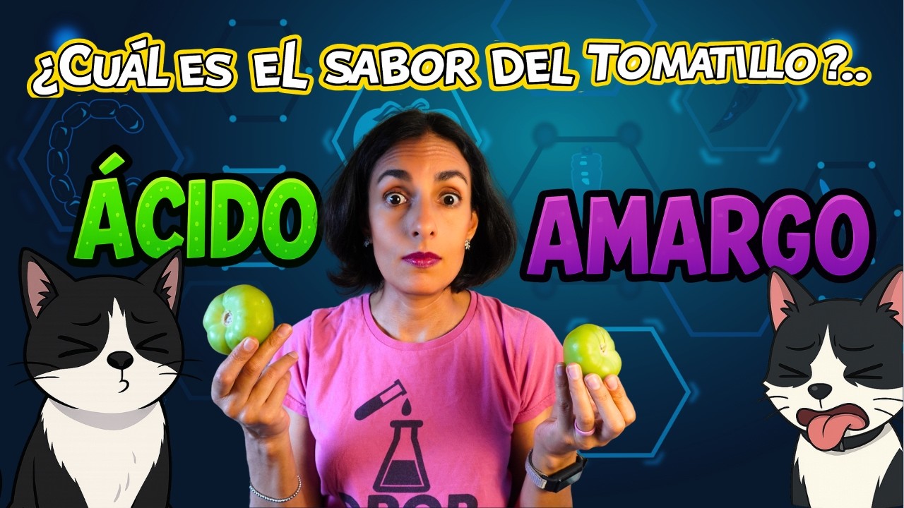 ¿Los tomatillos son ácidos o amargos? 🌱 Descubre la diferencia de sabores