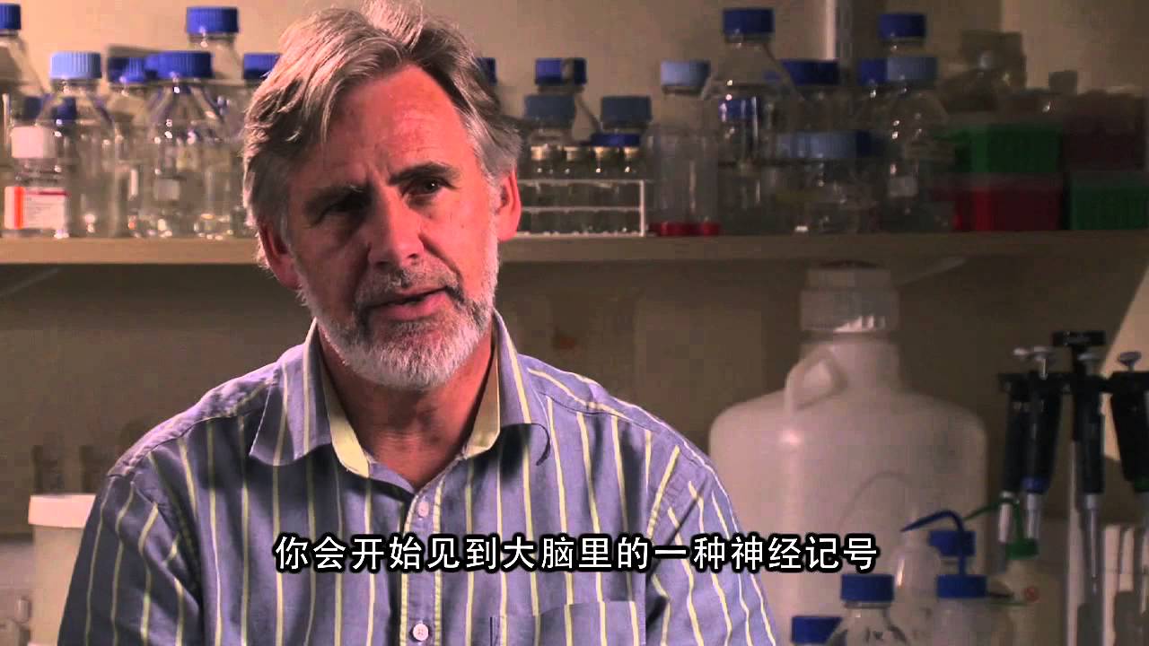 The Science of Mindfulness, Chinese