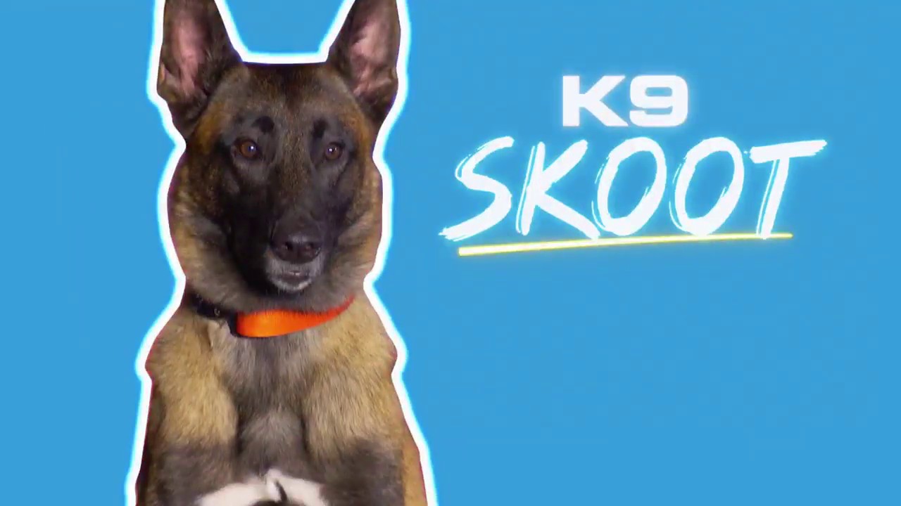 Montgomery Police Department's K9 Skoot and Corporal Lindsay Compete on America's Top Dog