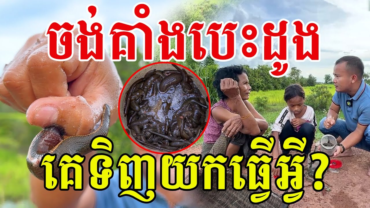 ធំៗធាត់ៗ គេមកទិញដល់ៗផ្ទះ សរសើរយាយចៅចាប់ពេញៗដៃ