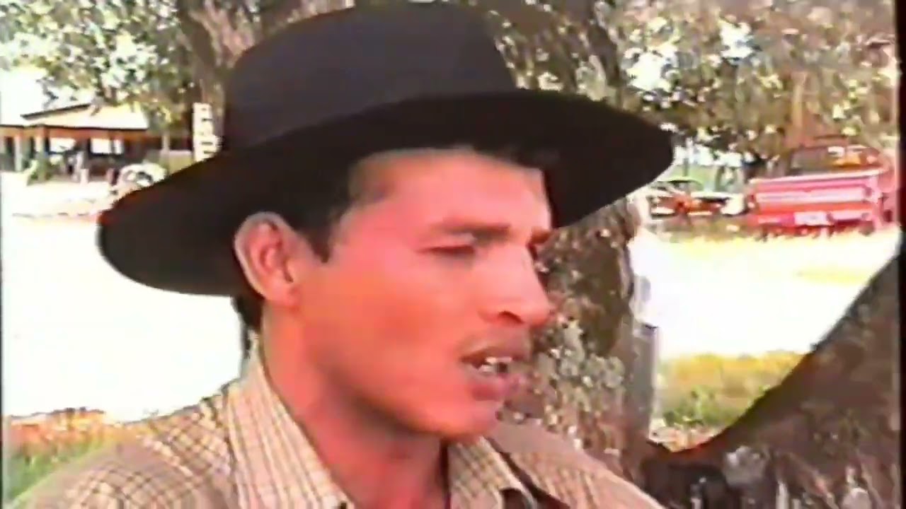 Pagode da massa ( Fernando e Osmair )100%Raiz