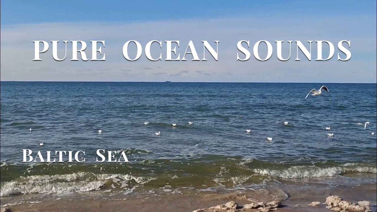 Winter Baltic Sea Ambience 🌊 Calm Waves | Pure Ocean Sounds for Deep Relaxation & Focus