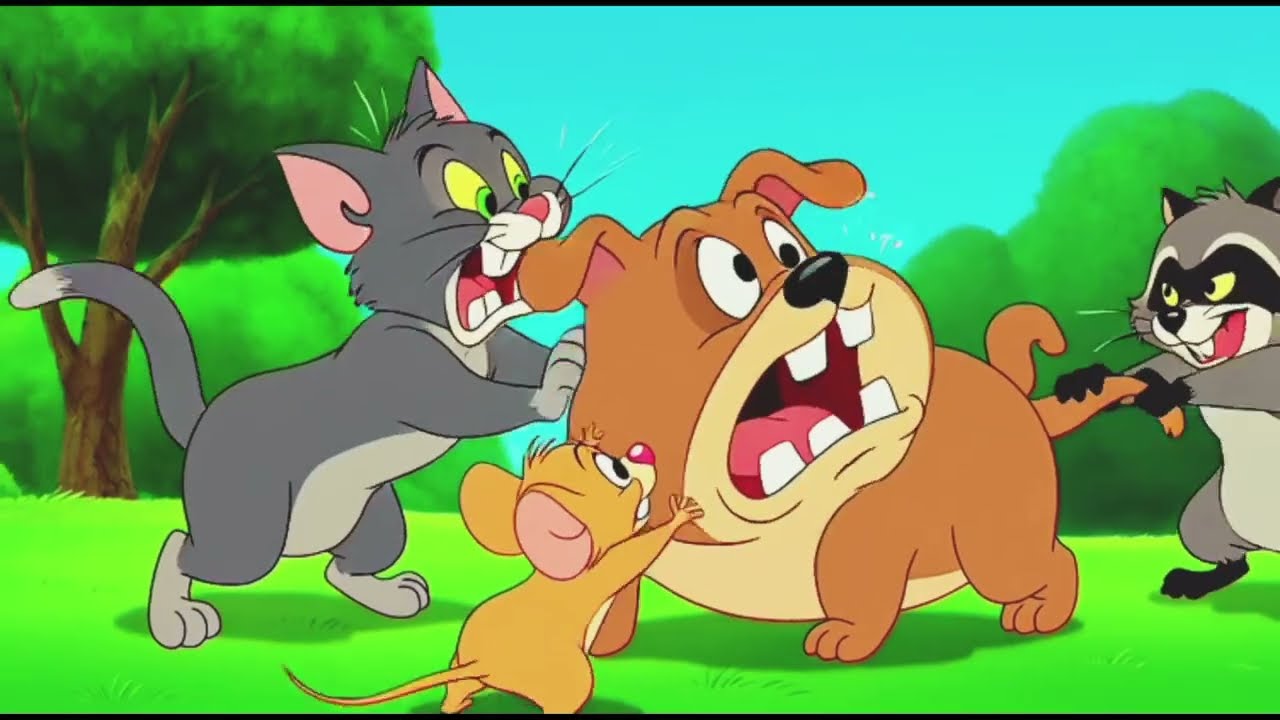 Cat vs Dog: Who Wins the WiFi? Password Chaos & Funny Fails