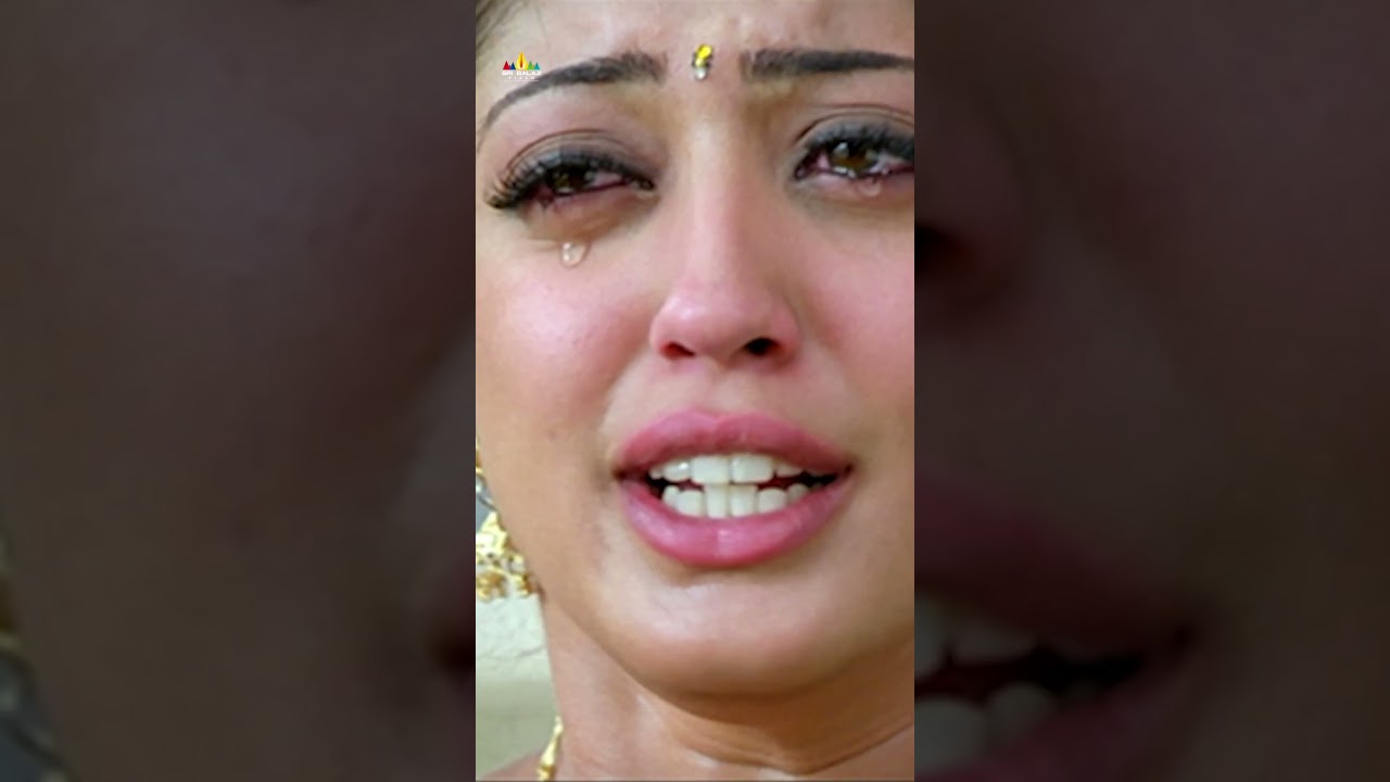 Pranitha Emotional About Siddharth | 