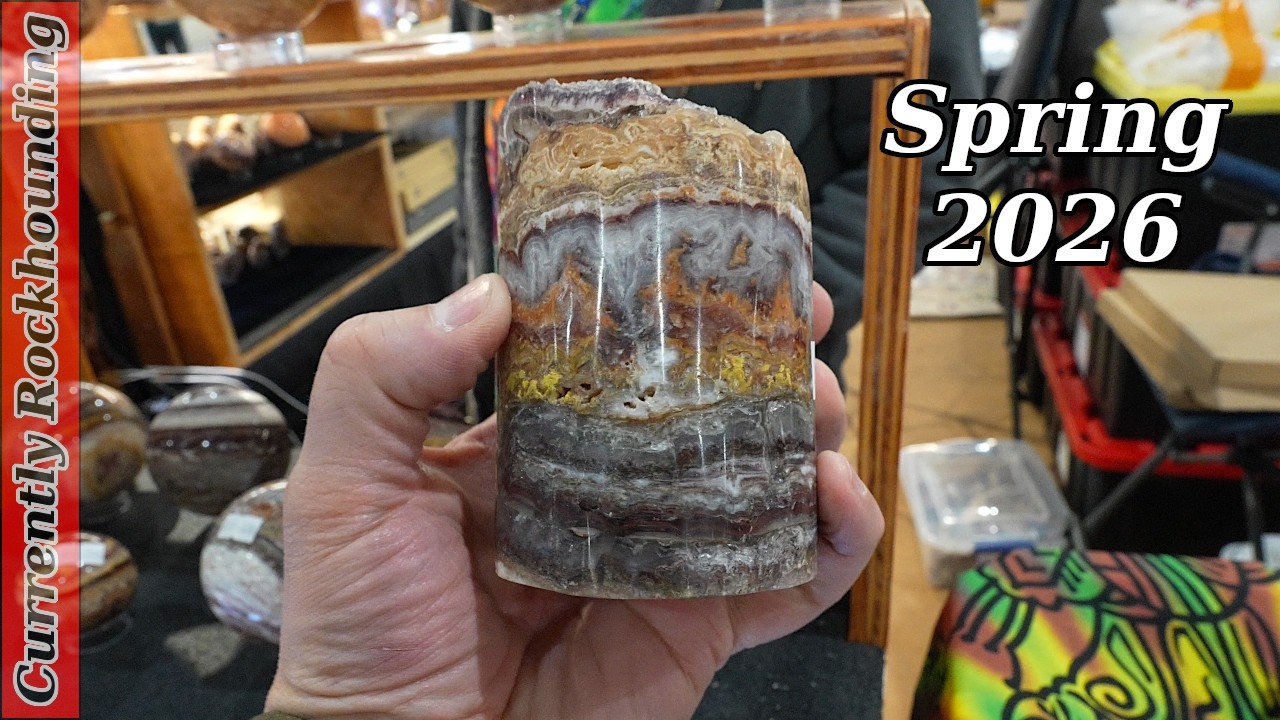 Unbeatable Deals at the Cedar City Rock & Gem Show