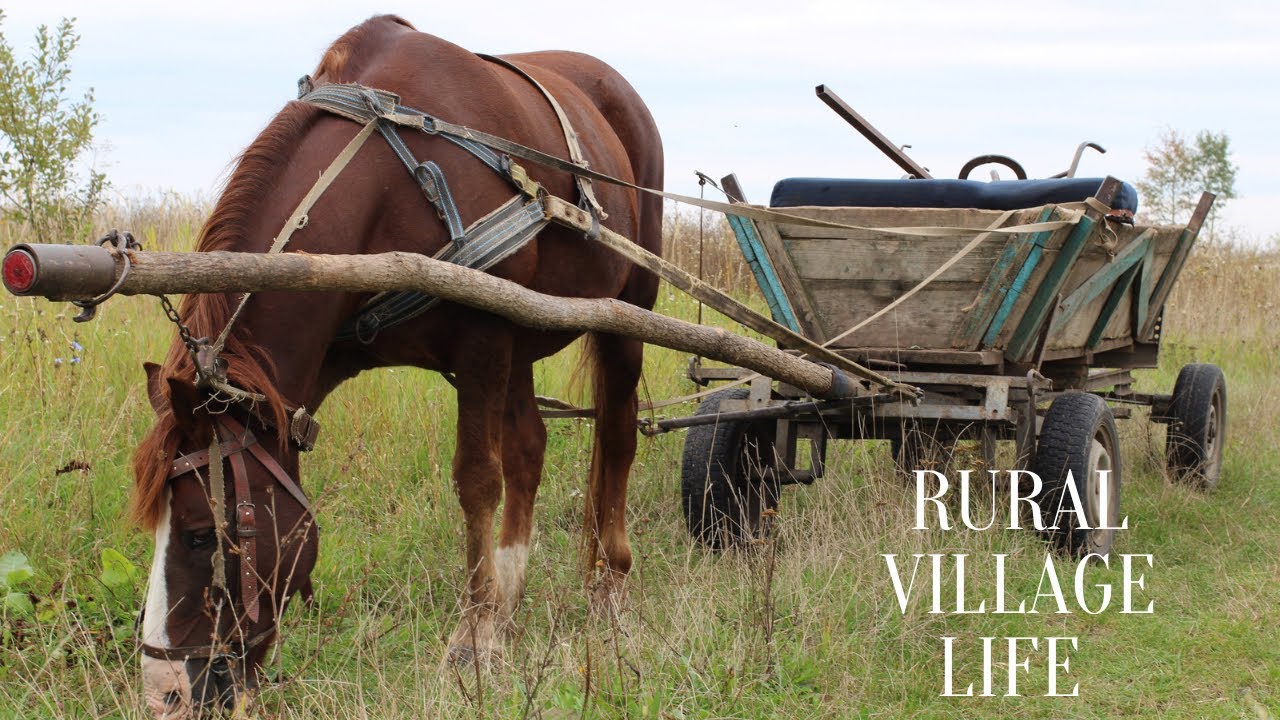 Life in a Traditional Bulgarian Village – Springtime Tour